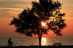 Fotoğraf: Esat Erçetingöz