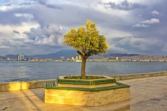 Fotoğraf: Feridun Karagözlü